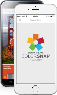 colorsnap web