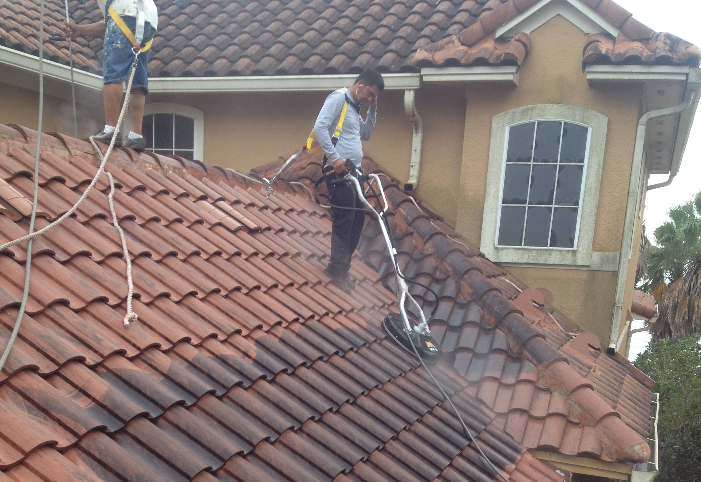 pProfessional Sunshine cleaning